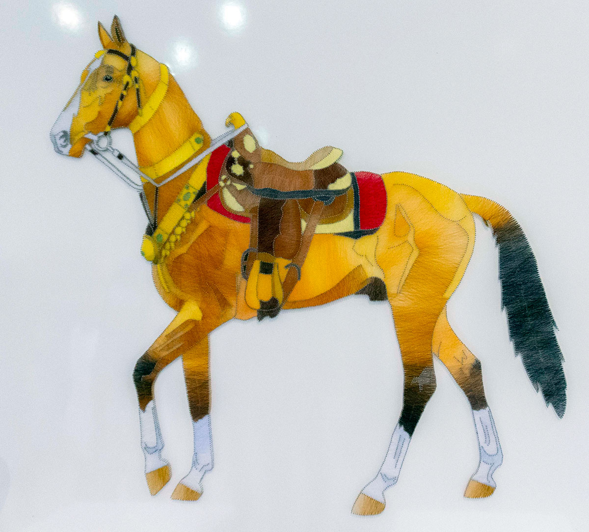 Главный герой выставки – ахалтекинский конь